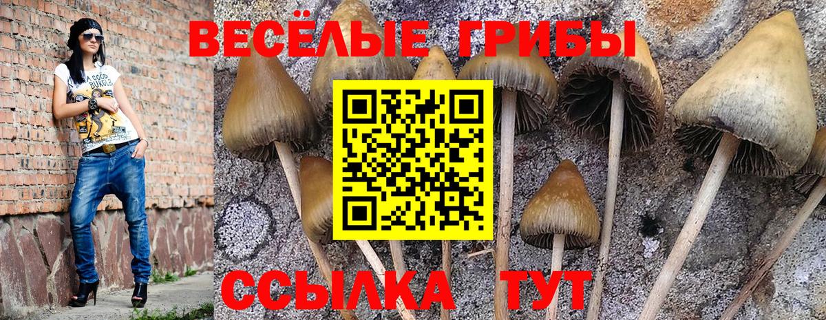 Галлюциногенные грибы MAGIC MUSHROOMS  Галлюциногенные грибы прущие грибы  Гатчина  Вход с VPN 